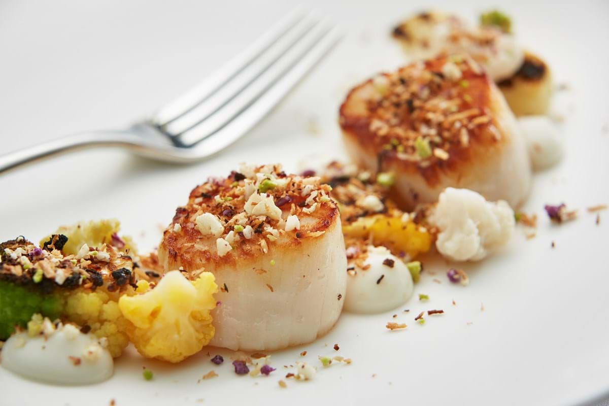 scallops-004.jpg